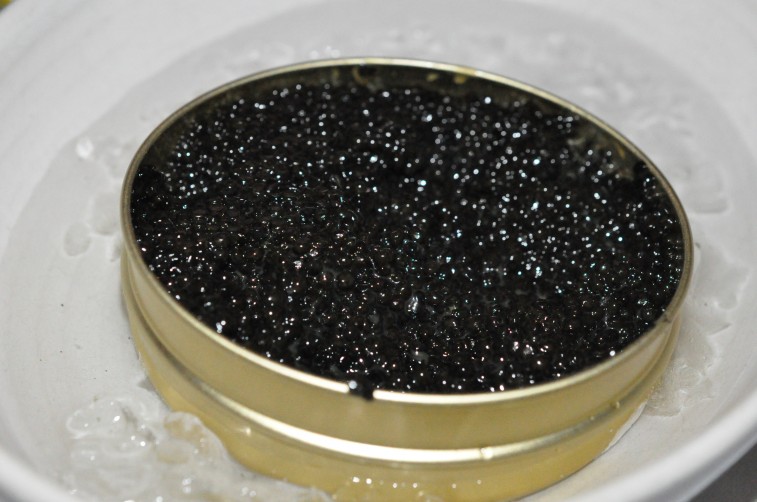 Calvisius caviar