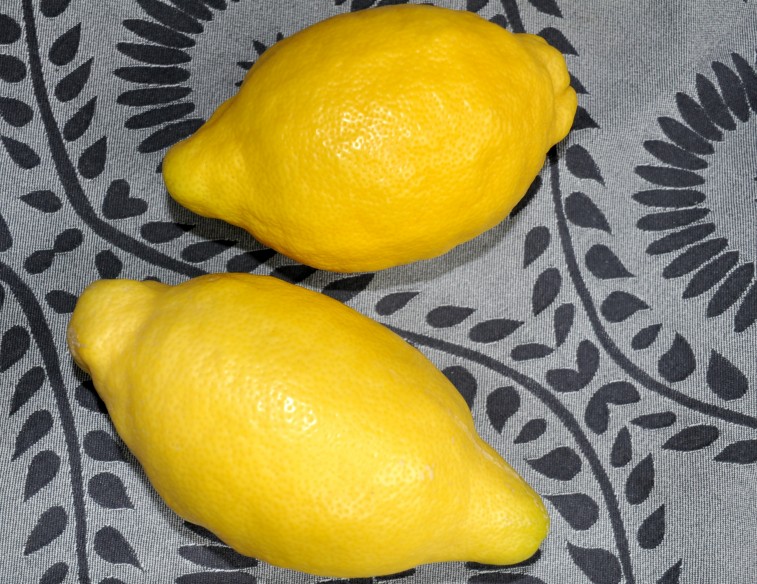 Citroner