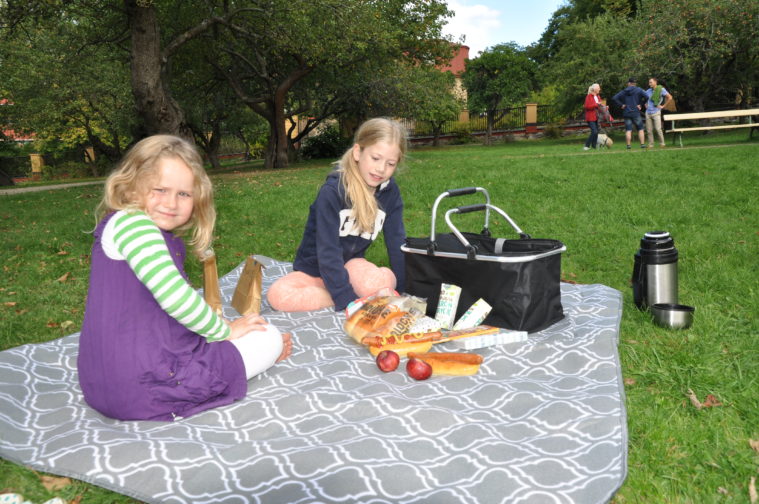 Barnens korv garant picknick